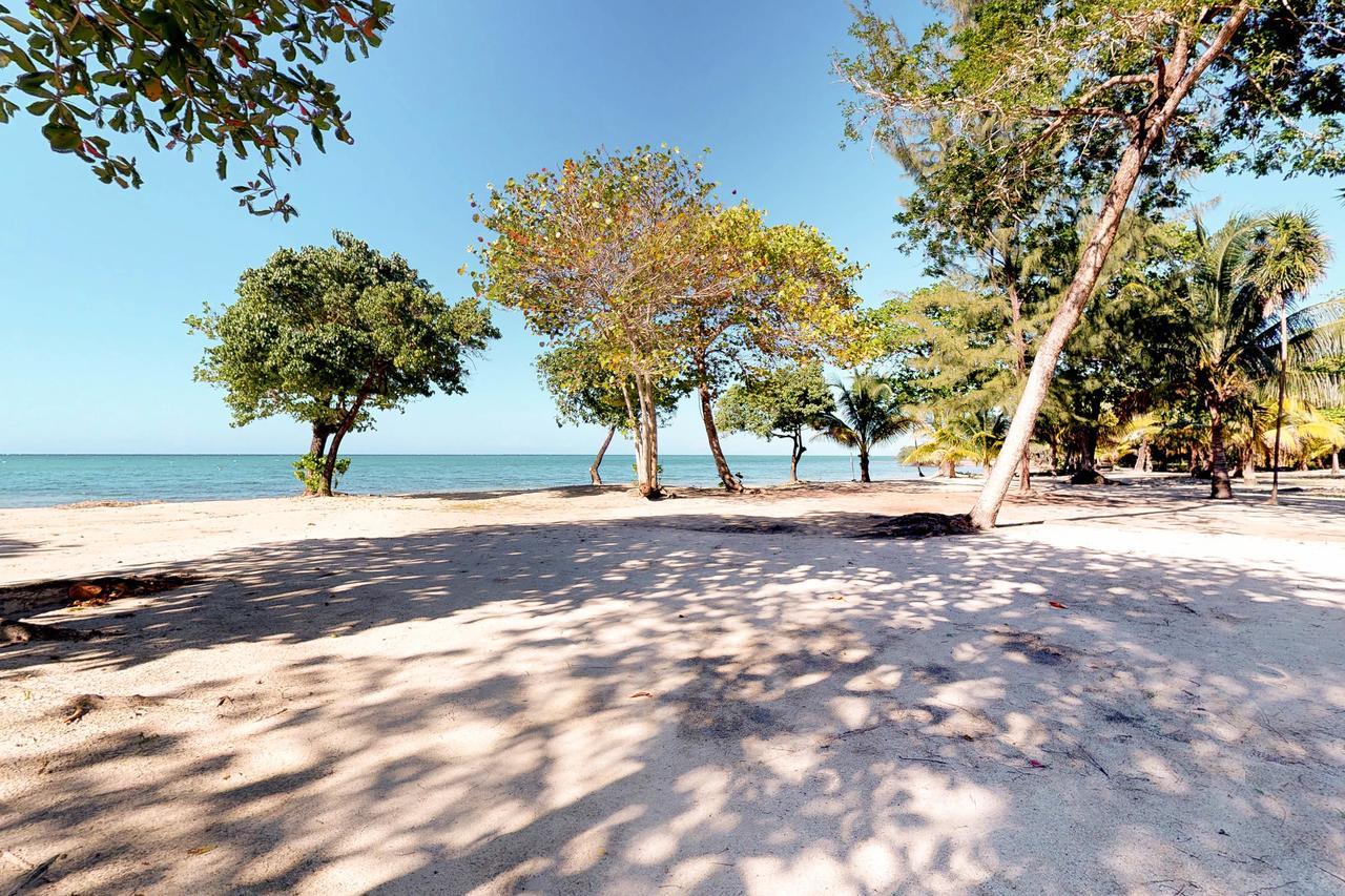 Private Beachfront Paradise Palmetto Bay Ngoại thất bức ảnh